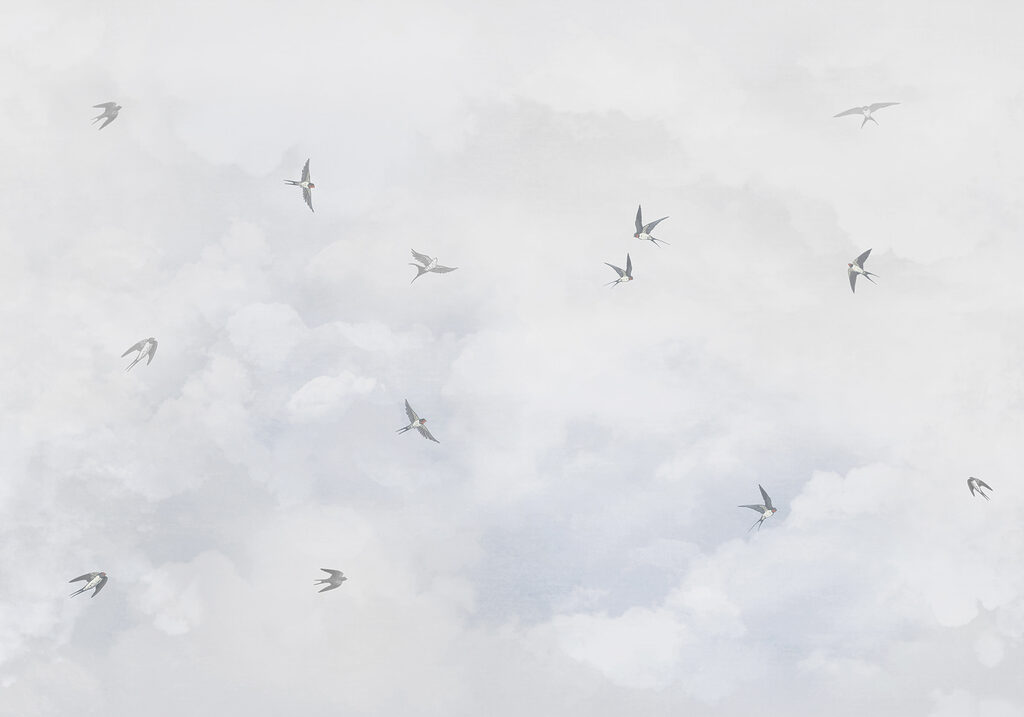 Um grupo de pássaros a voar no céu Um grupo de pássaros a voar no céu