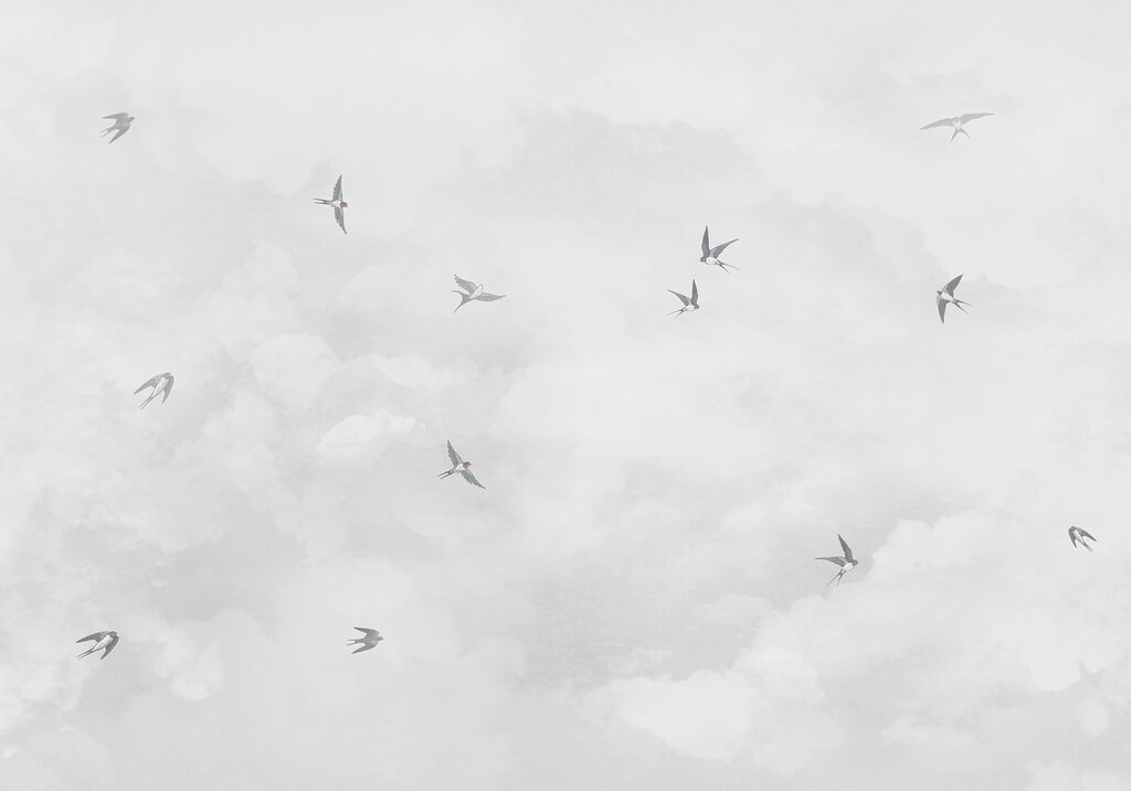 Um grupo de pássaros a voar no céu Um grupo de pássaros a voar no céu