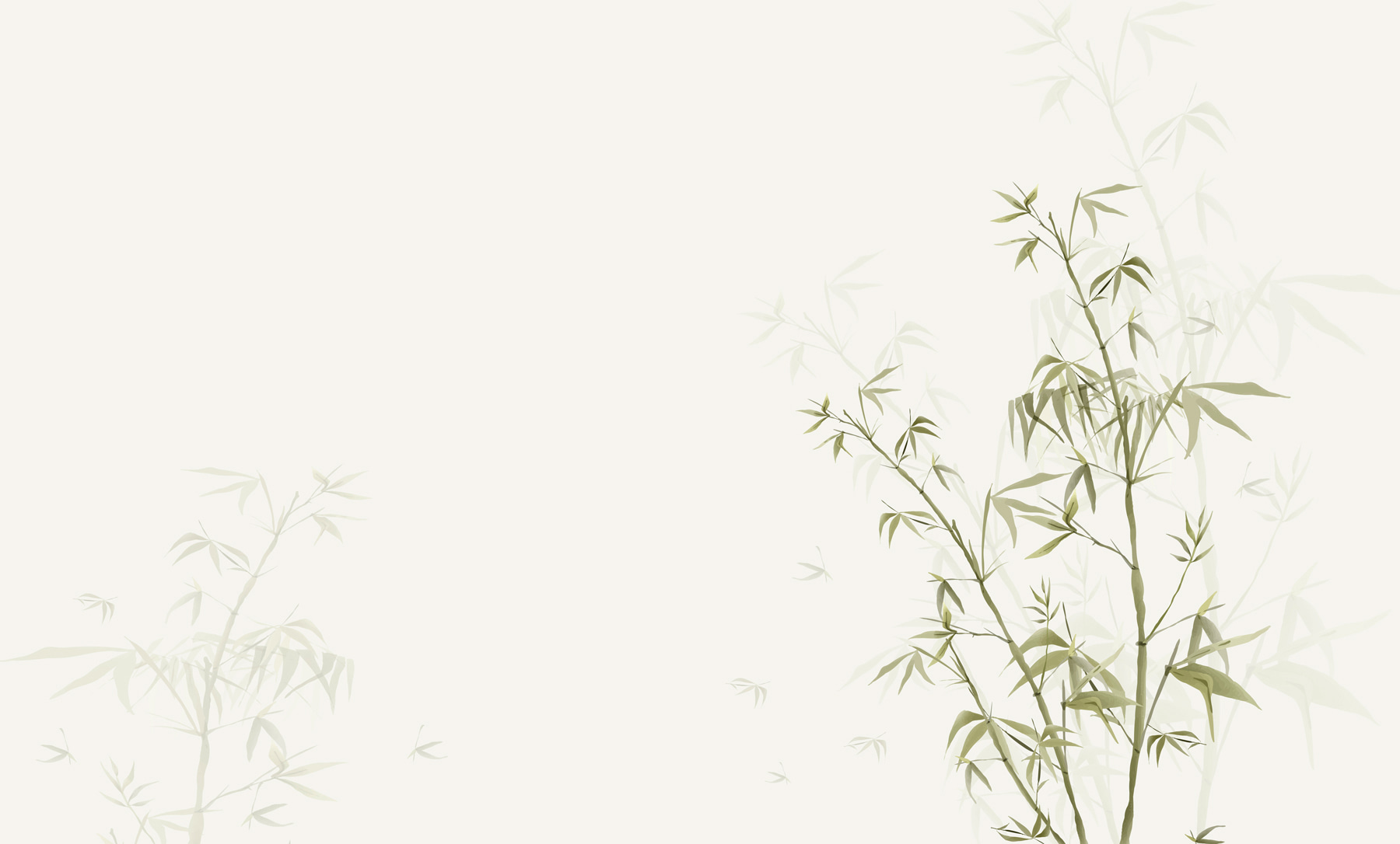 w00546p - Um grande plano de uma planta - tegory