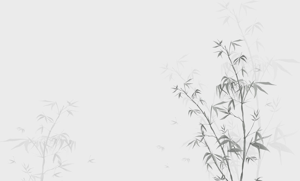 Uma planta com folhas Uma planta com folhas