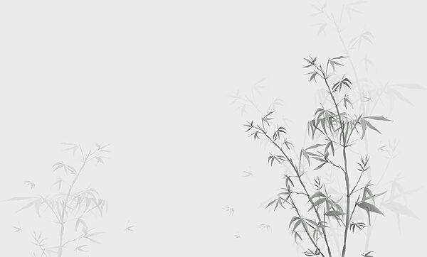 Uma planta com folhas Uma planta com folhas
