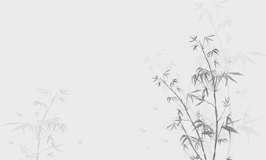 Uma planta com folhas Uma planta com folhas