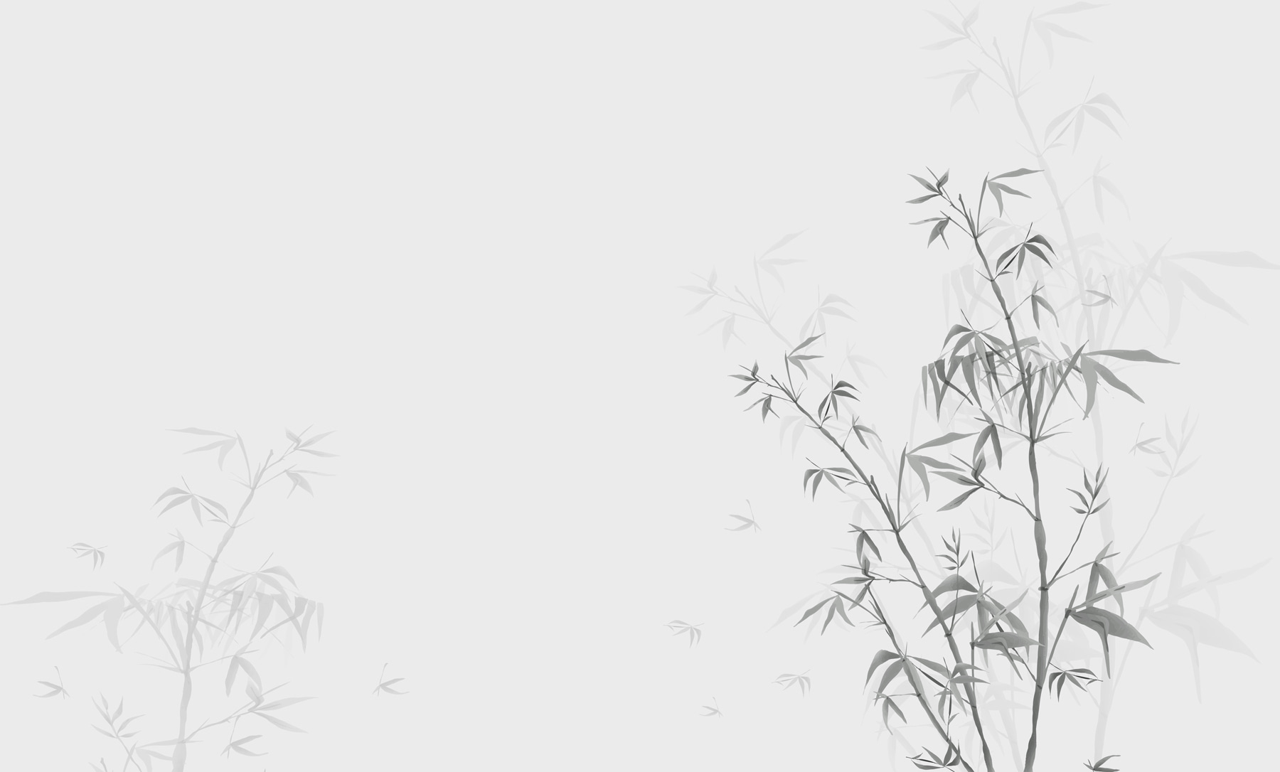 w00546v1p - Uma planta com folhas - tegory