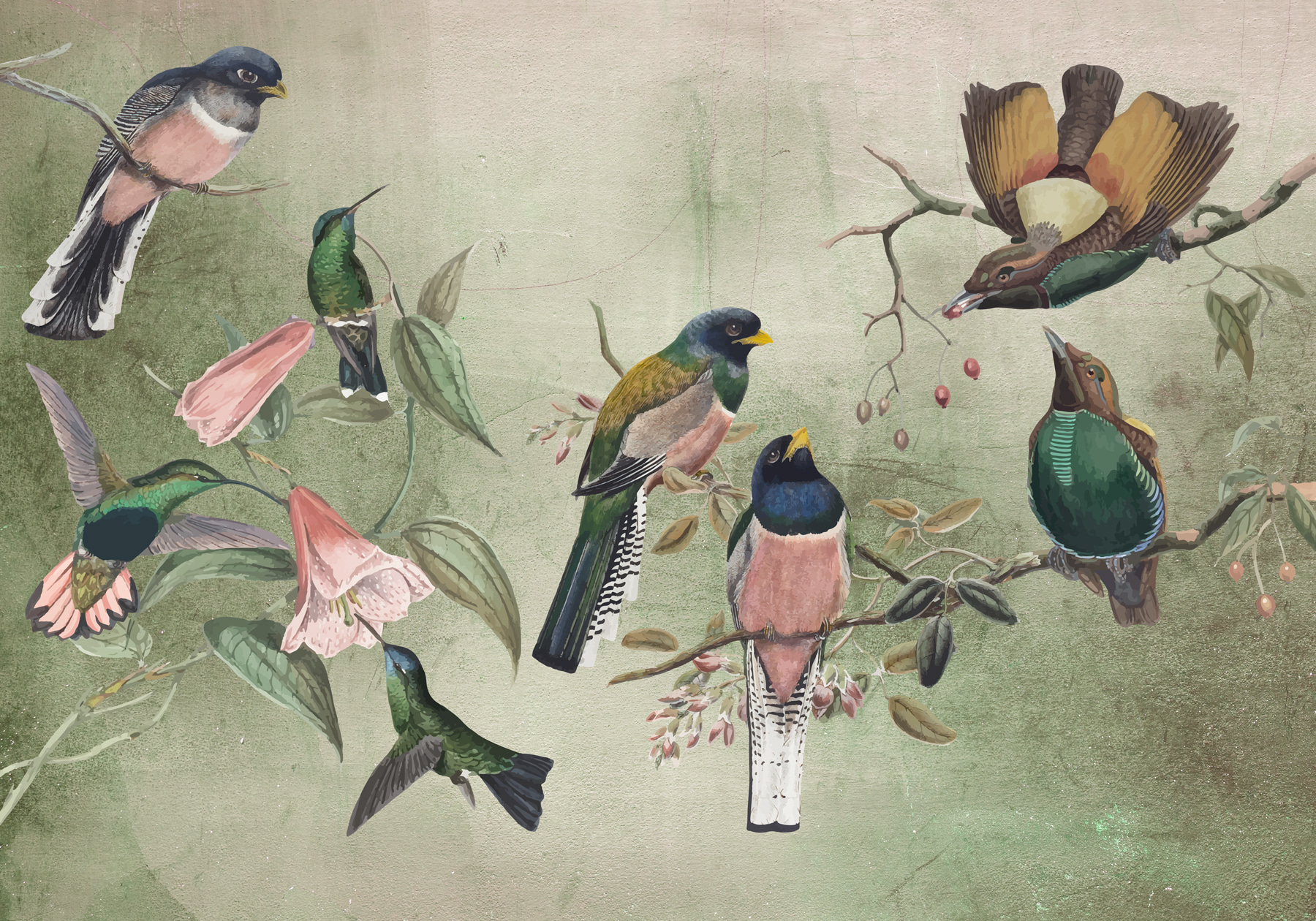 Um grupo de pássaros num ramo w00543p - Um grupo de pássaros num ramo - tegory