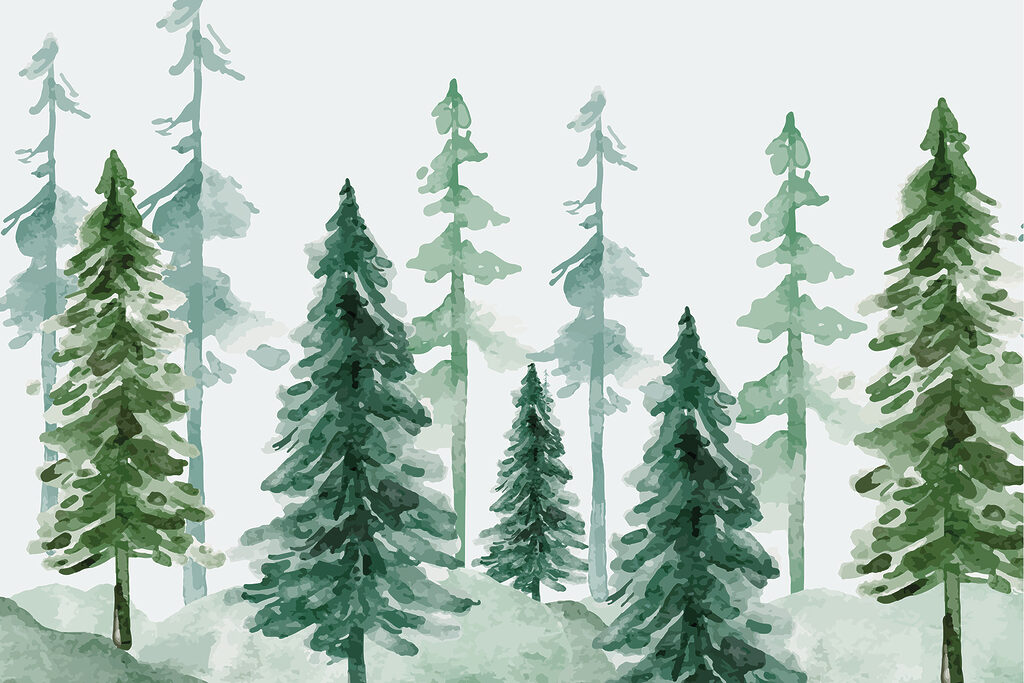 Um grupo de árvores numa floresta com neve Um grupo de árvores numa floresta com neve
