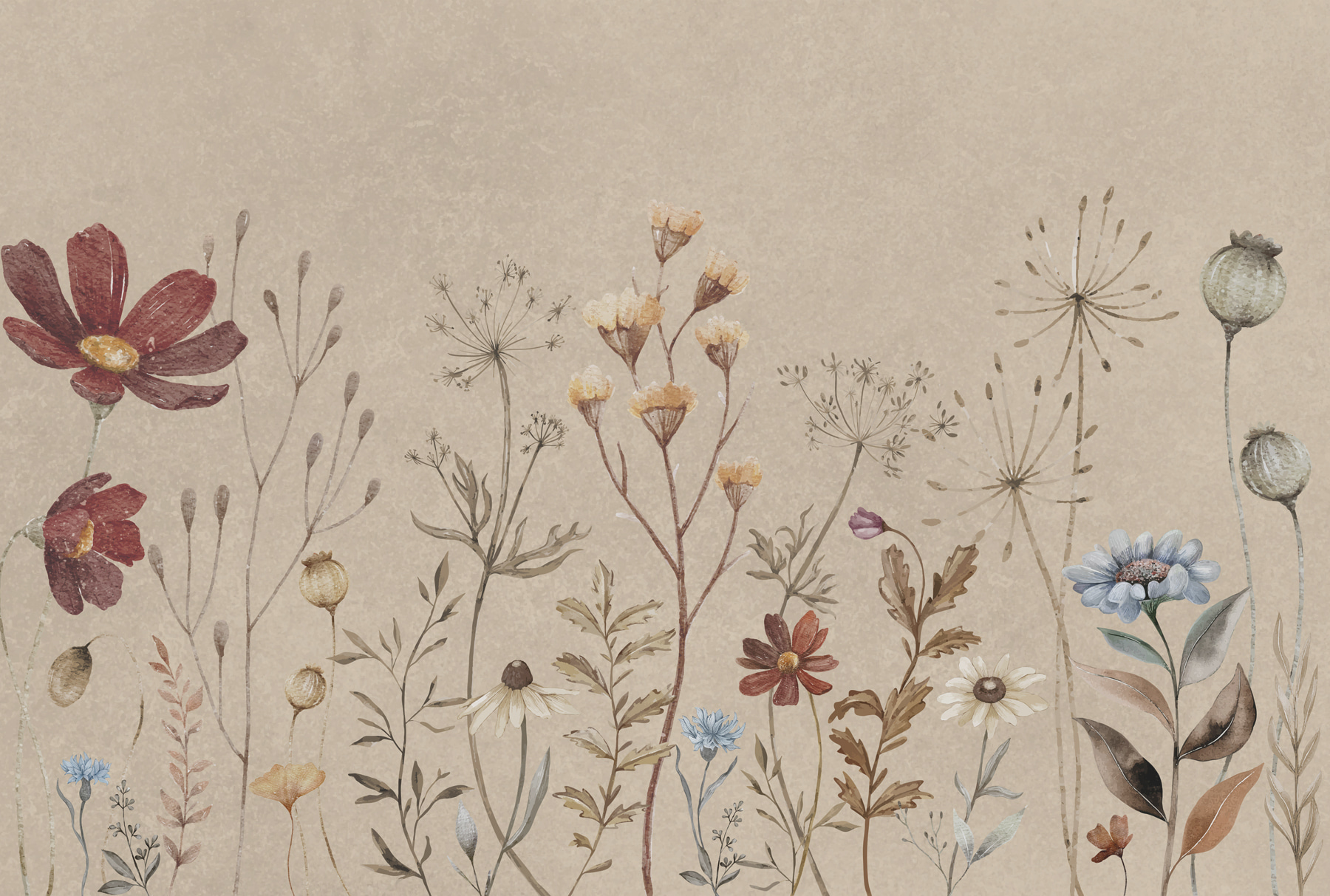 w00580p - Um grande plano de flores - tegory