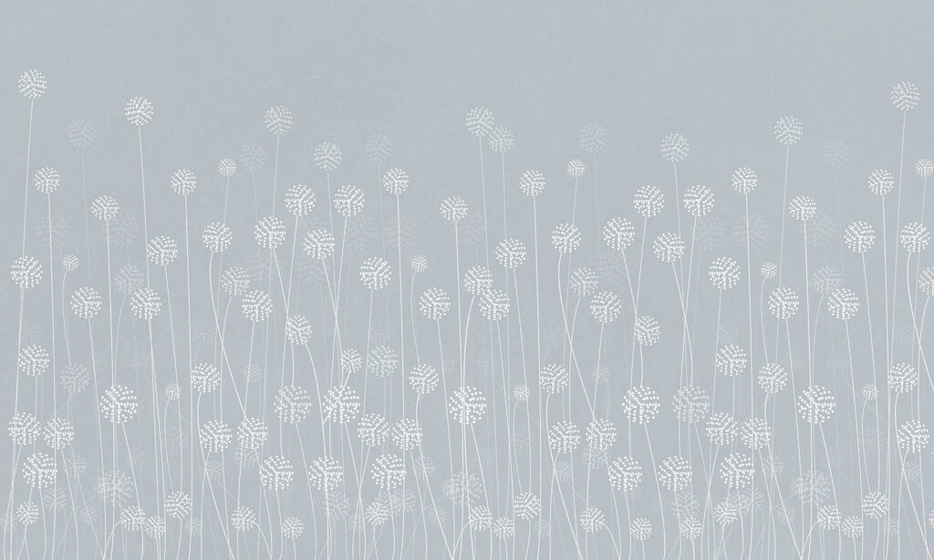 w00613v1p 1024x614 - Flores brancas sobre um fundo cinzento - tegory