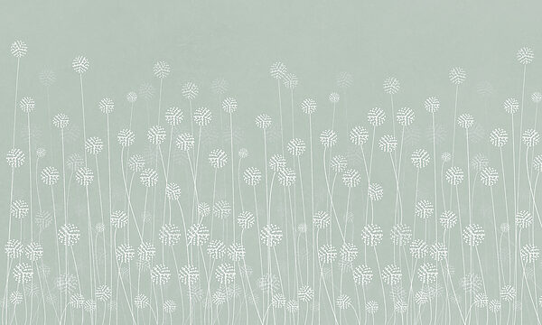 Flores brancas sobre um fundo verde Flores brancas sobre um fundo verde