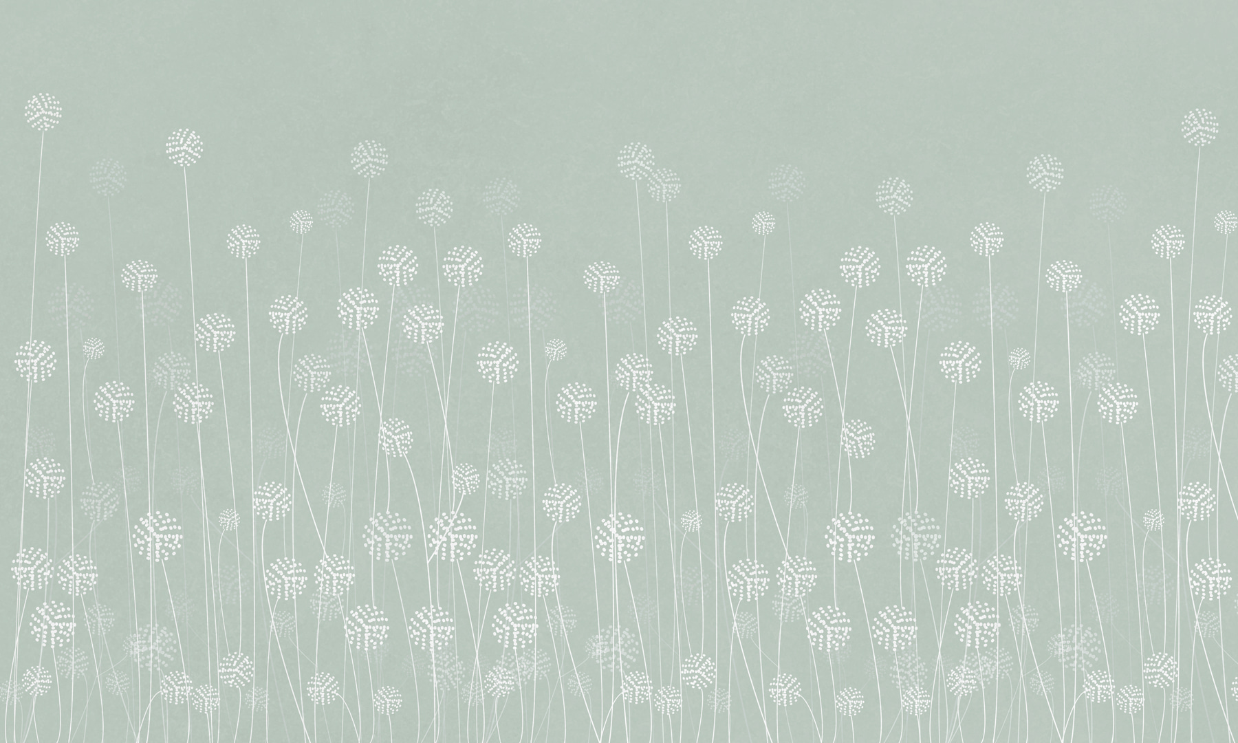 w00613v3p - Flores brancas sobre um fundo verde - tegory