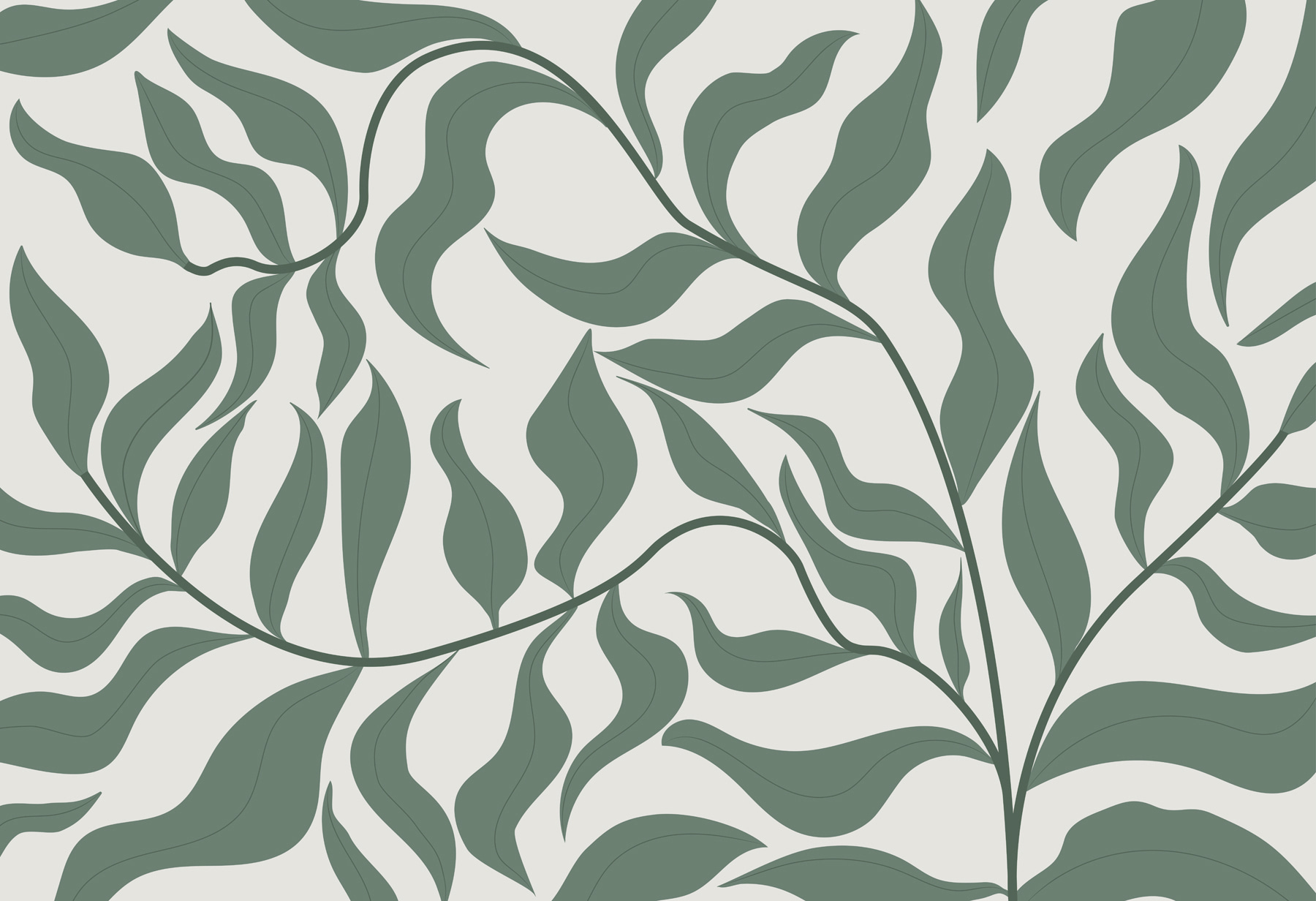 Folhas verdes sobre um fundo branco w00629p - Folhas verdes sobre um fundo branco - tegory