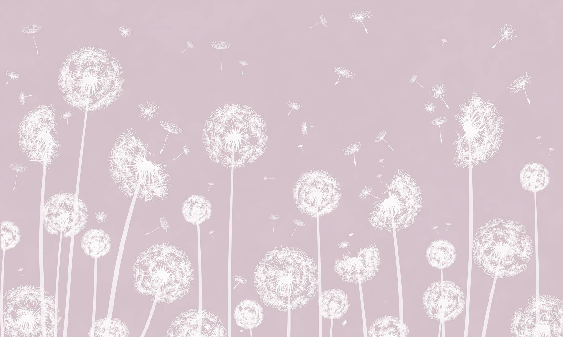 w00657v1p - Um dente-de-leão branco a voar no ar - tegory