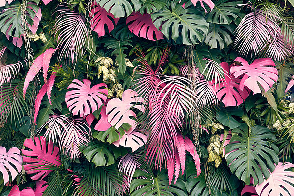 Grupo de folhas cor-de-rosa e verdes u79682p 600x400 - Grupo de folhas cor-de-rosa e verdes