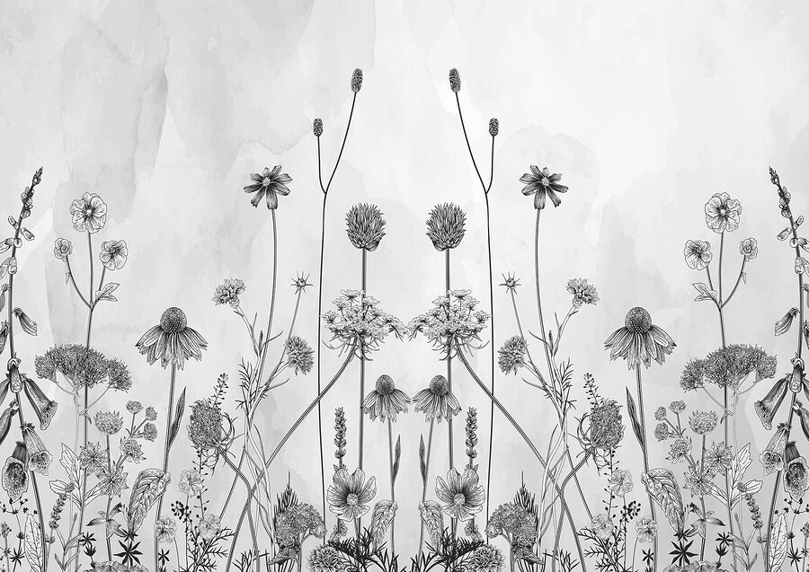 Um desenho de flores e plantas