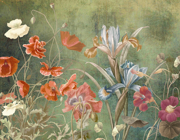 Um grande plano de flores Um grande plano de flores