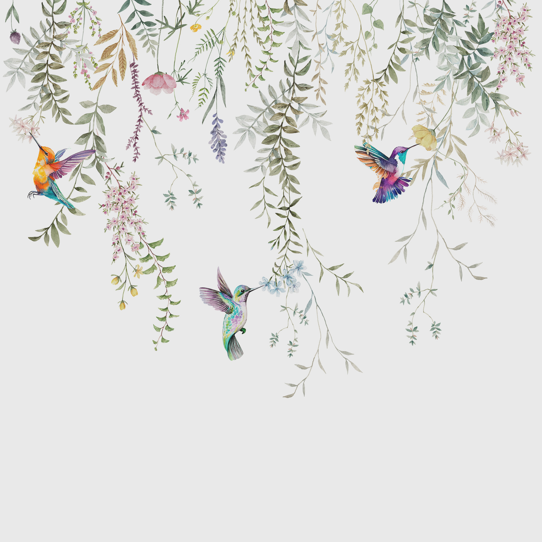 Uma pintura de pássaros e flores w00660p - Uma pintura de pássaros e flores
