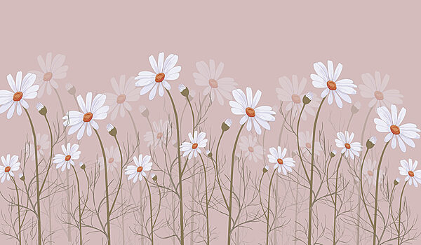 Um grupo de flores brancas Um grupo de flores brancas