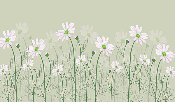 Um grupo de flores brancas Um grupo de flores brancas