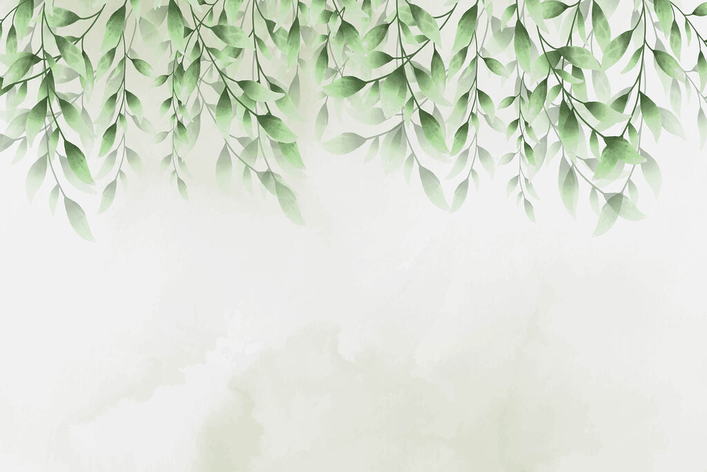 Folhas verdes sobre um fundo branco Folhas verdes sobre um fundo branco