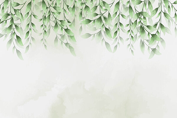 Folhas verdes sobre um fundo branco Folhas verdes sobre um fundo branco