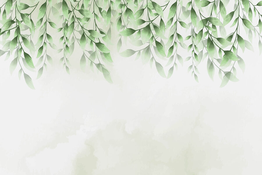 Folhas verdes sobre um fundo branco