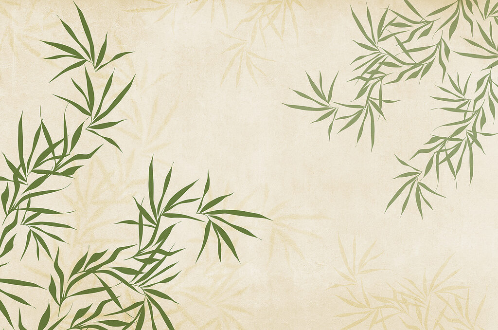 Folhas verdes sobre um fundo branco Folhas verdes sobre um fundo branco