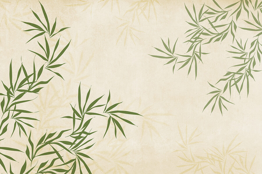 Folhas verdes sobre um fundo branco Folhas verdes sobre um fundo branco