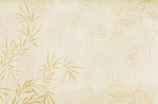 A white background with leaves