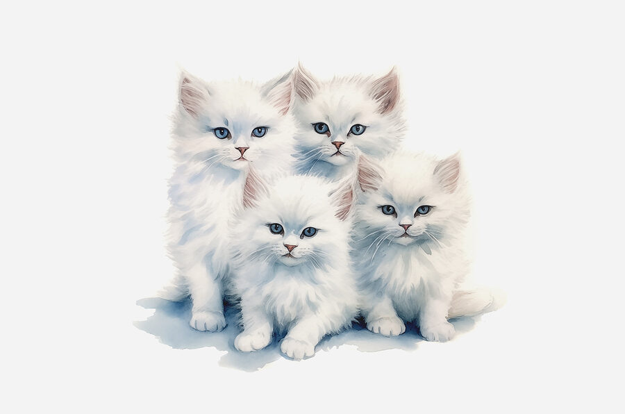 Um grupo de gatinhos brancos