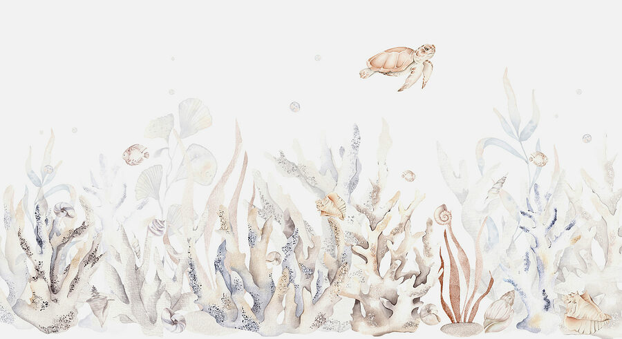 Papel de parede Uma alga marinha e algas marinhas sobre um fundo branco - Image 4