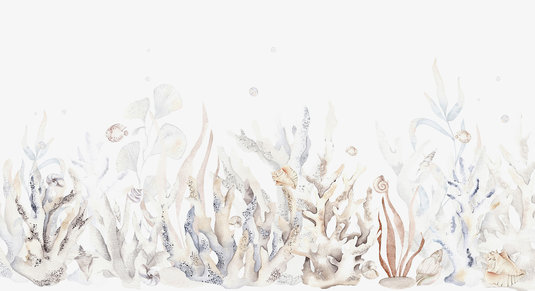 A watercolor of seaweed and shells