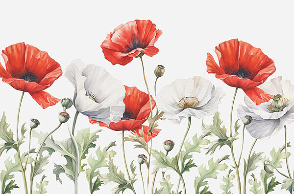 Um grande plano de flores Um grande plano de flores
