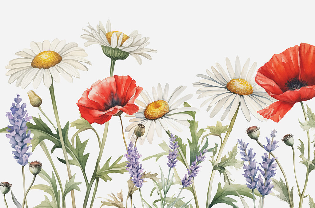 Um grande plano de flores Um grande plano de flores
