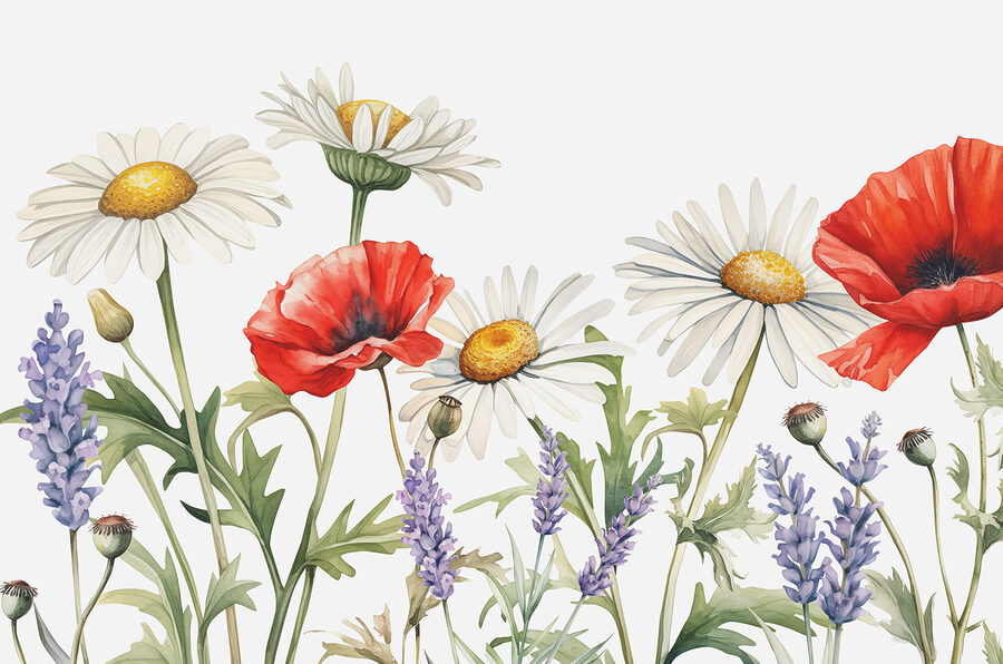 Um grande plano de flores
