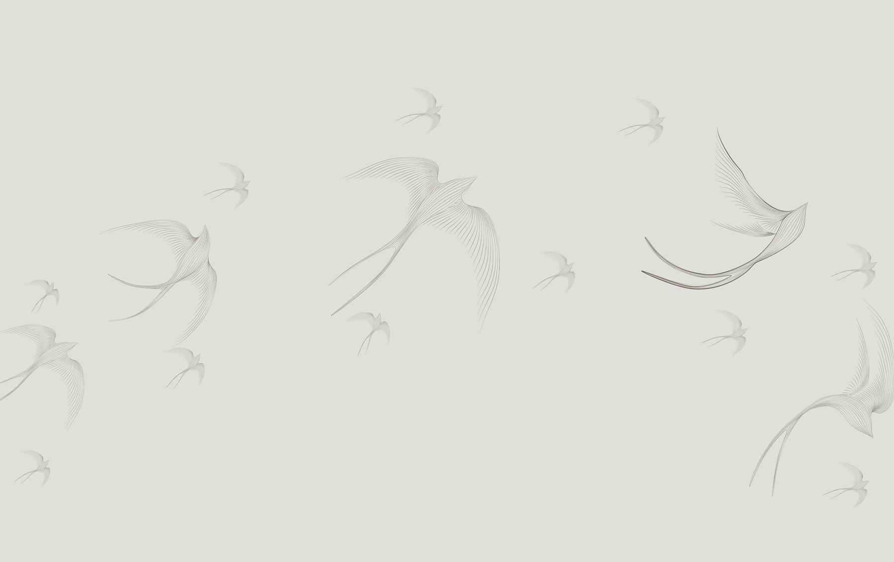 A group of birds flying