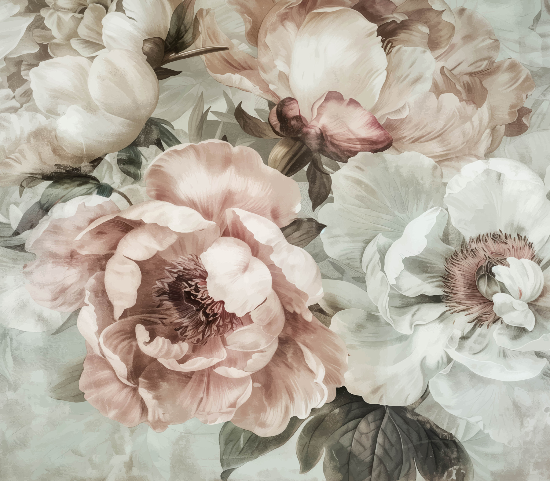 A close up of flowers A close up of flowers