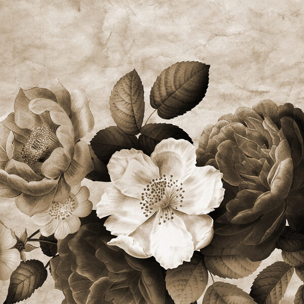 Um grande plano de flores Um grande plano de flores