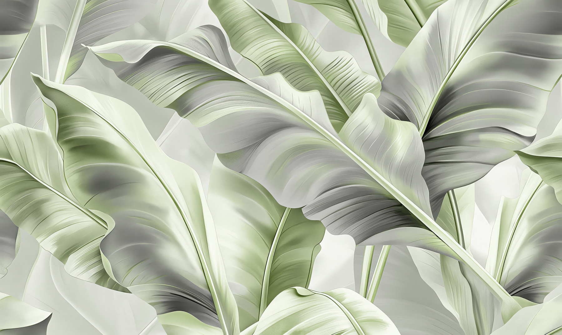 A close up of leaves A close up of leaves