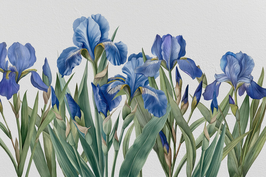 Um grupo de flores azuis