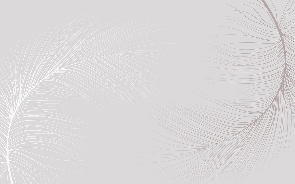 Fundo branco com linhas Fundo branco com linhas
