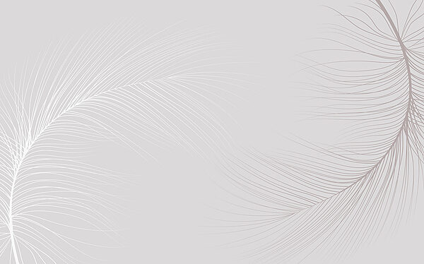 Fundo branco com linhas Fundo branco com linhas