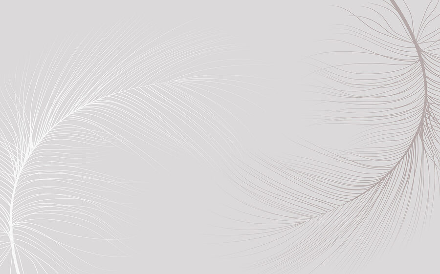 Fundo branco com linhas Fundo branco com linhas