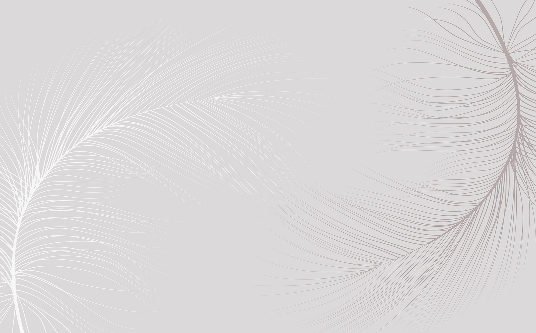 White background with lines White background with lines