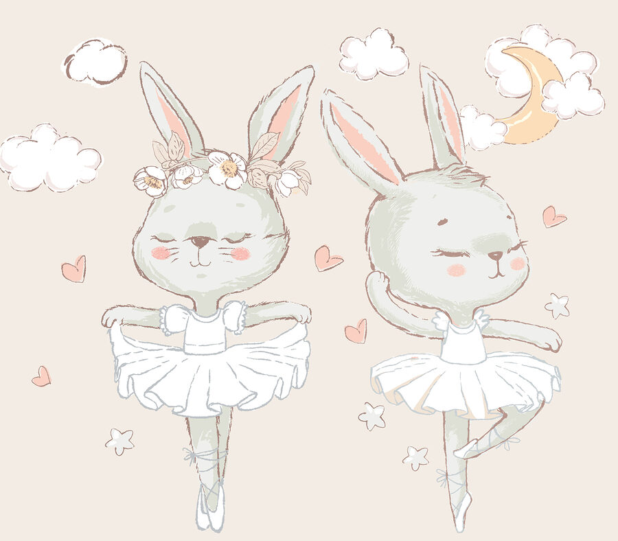 Um par de coelhinhos com tutu de ballet