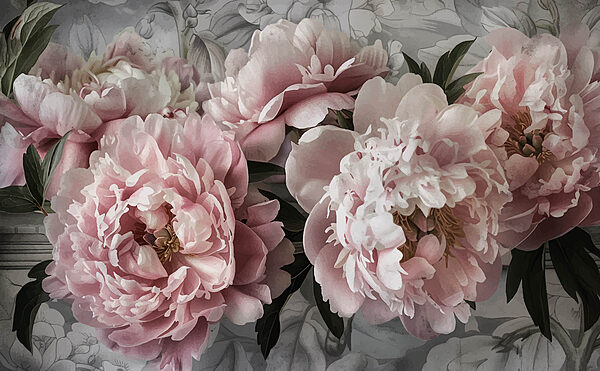 Grupo de flores cor-de-rosa Grupo de flores cor-de-rosa