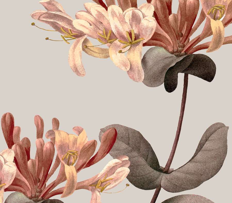 Grande plano de flores