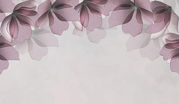 Close up of flowers Close up of flowers