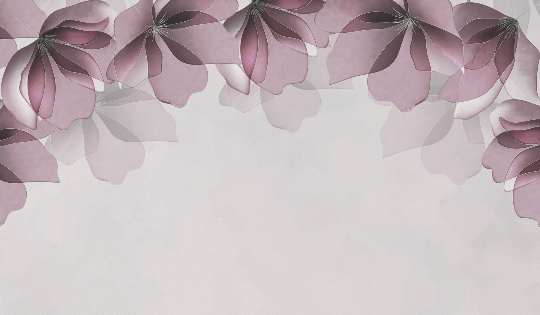 Close up of flowers Close up of flowers