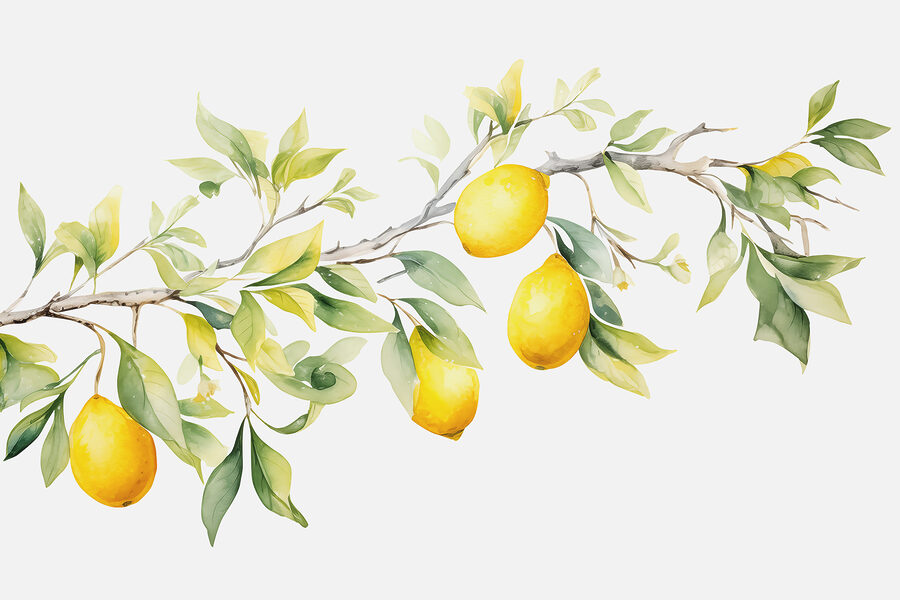 Papel de parede Ramo de limoeiro com frutos amarelos - Image 3