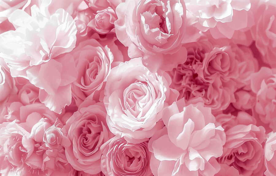 Grupo de flores cor-de-rosa