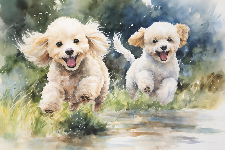 Dois cães a saltar no ar